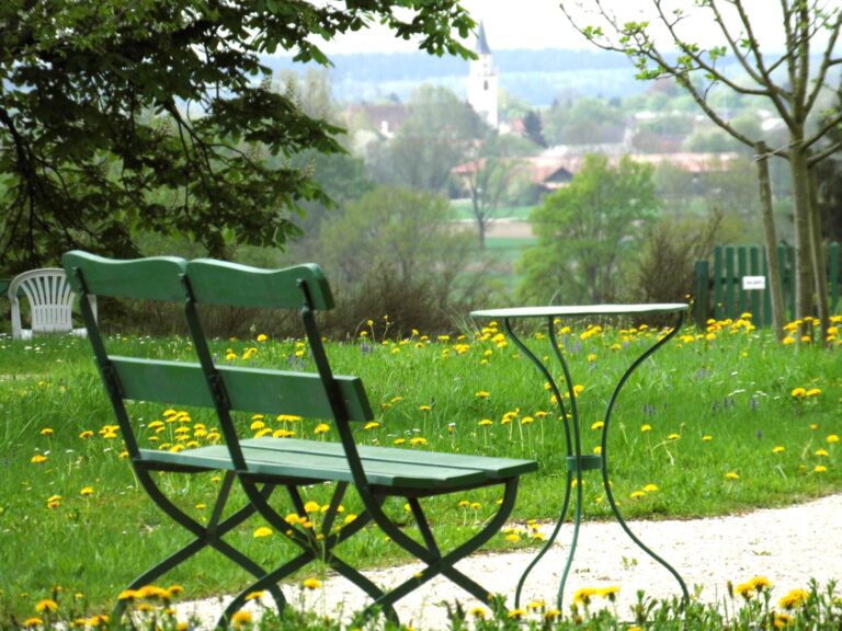 bild trauer einzelbegleitung