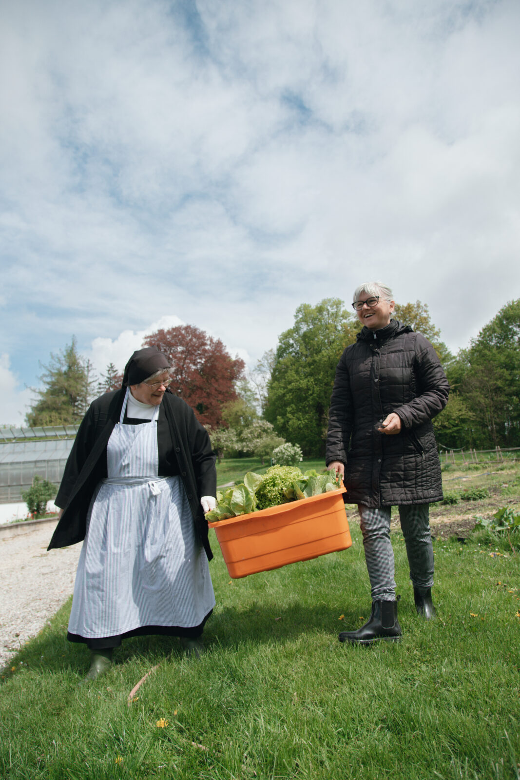 schreinerwerkstatt schreiner beim arbeiten